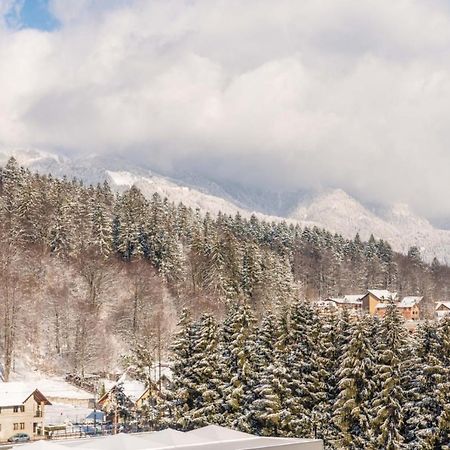 Bucegi View 39 - Colina Marei Lejlighed Sinaia Eksteriør billede