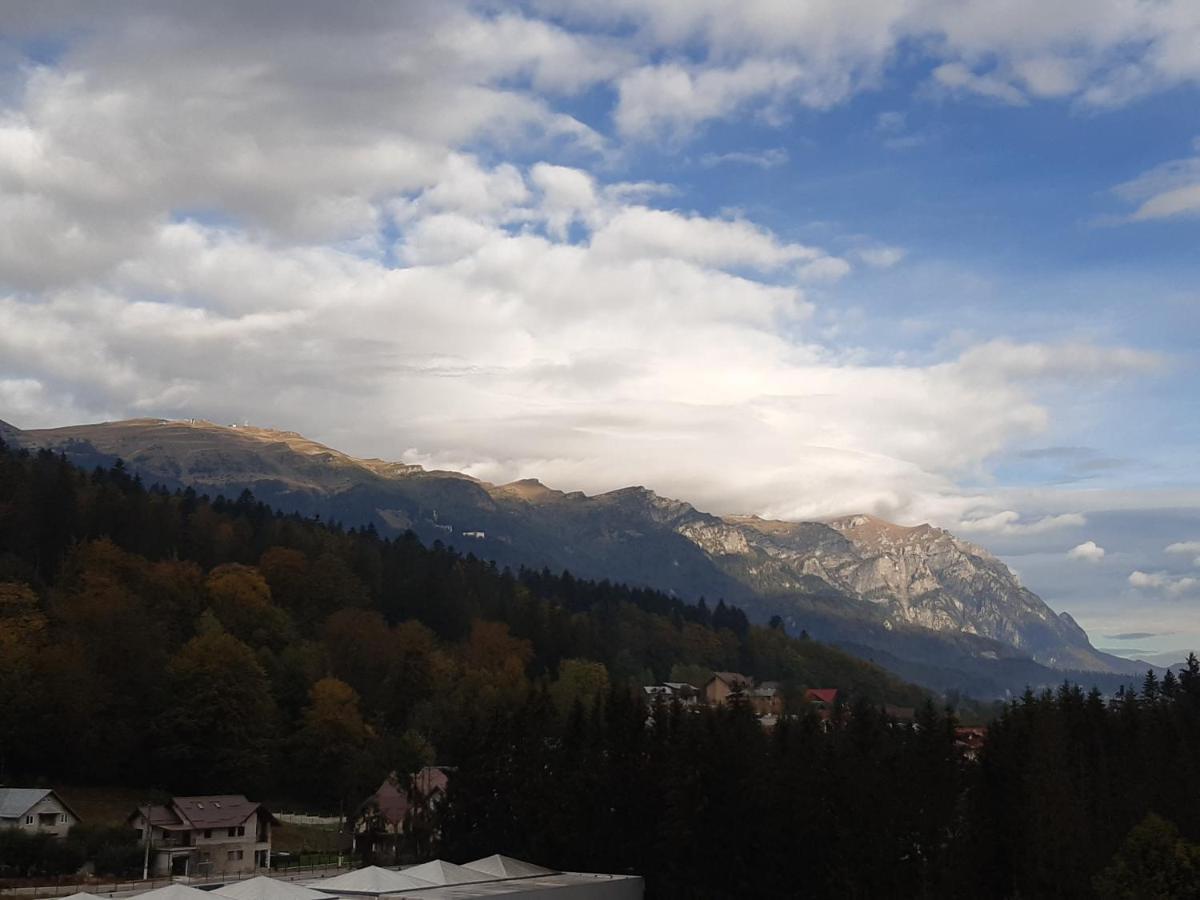 Bucegi View 39 - Colina Marei Lejlighed Sinaia Eksteriør billede