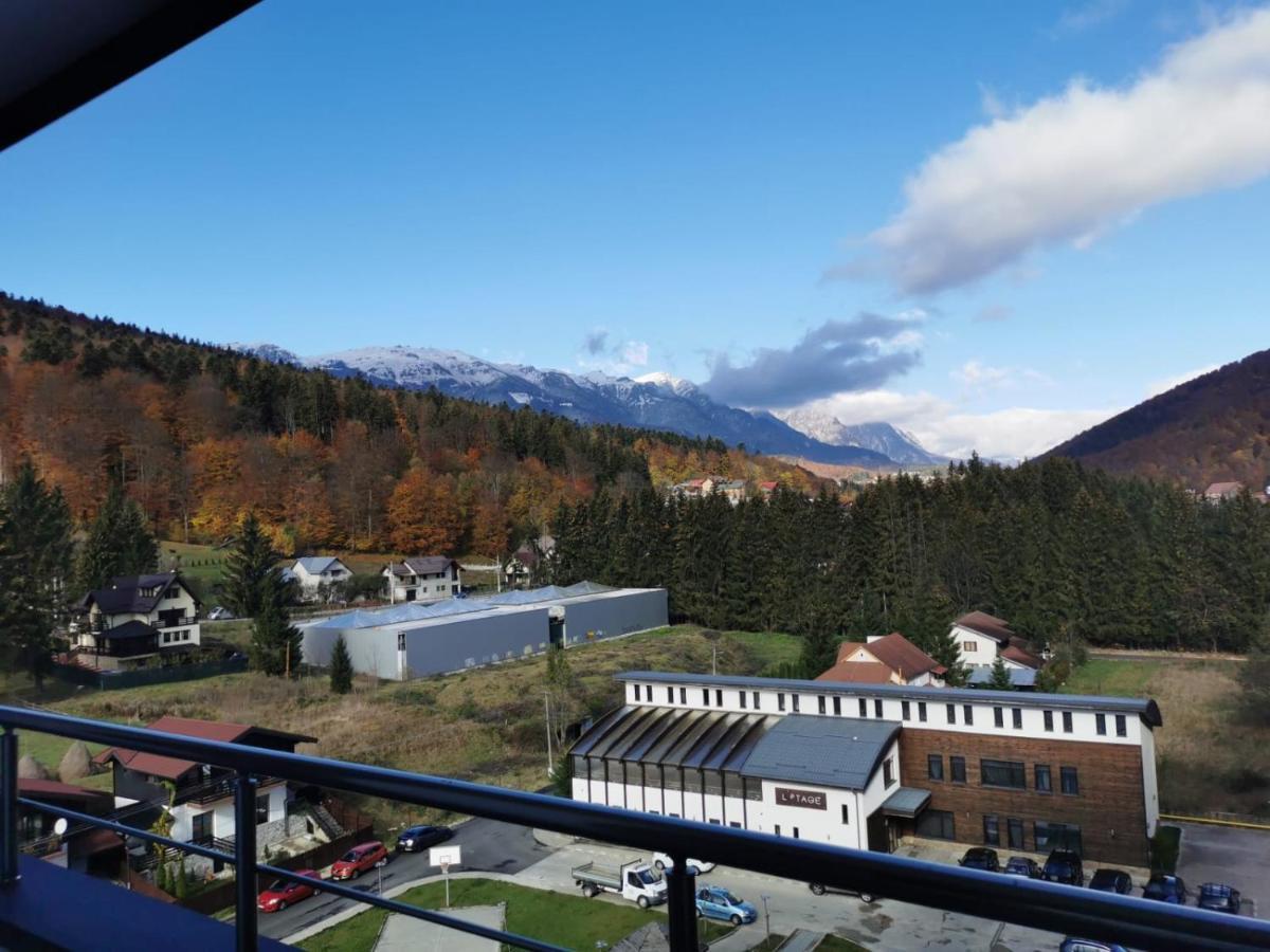 Bucegi View 39 - Colina Marei Lejlighed Sinaia Eksteriør billede