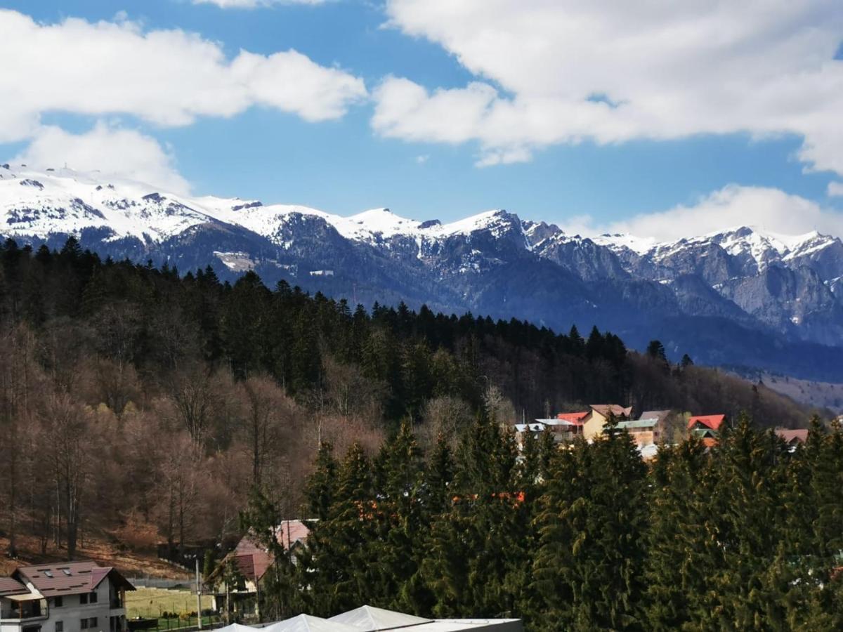 Bucegi View 39 - Colina Marei Lejlighed Sinaia Eksteriør billede